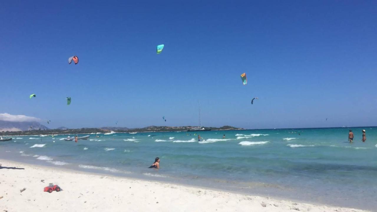 Padru Sherdana'S מראה חיצוני תמונה