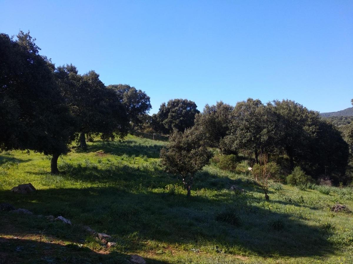 Padru Sherdana'S מראה חיצוני תמונה